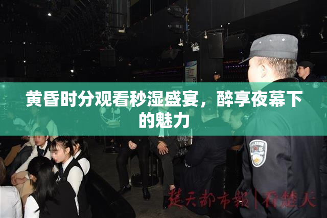 黄昏时分观看秒湿盛宴，醉享夜幕下的魅力