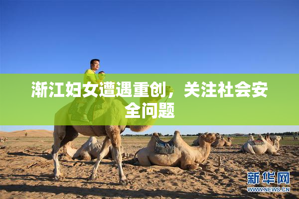 渐江妇女遭遇重创，关注社会安全问题