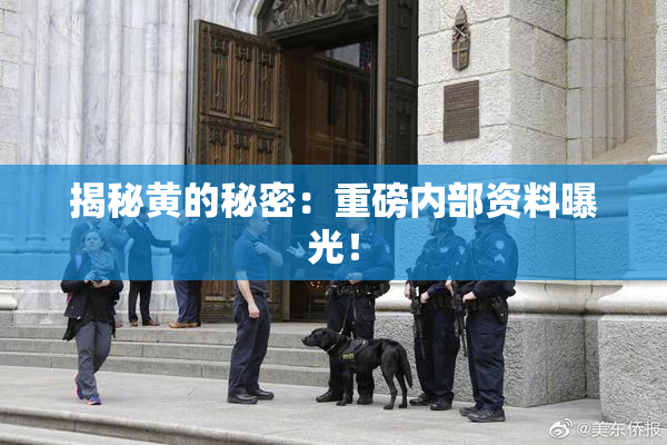 揭秘黄的秘密：重磅内部资料曝光！