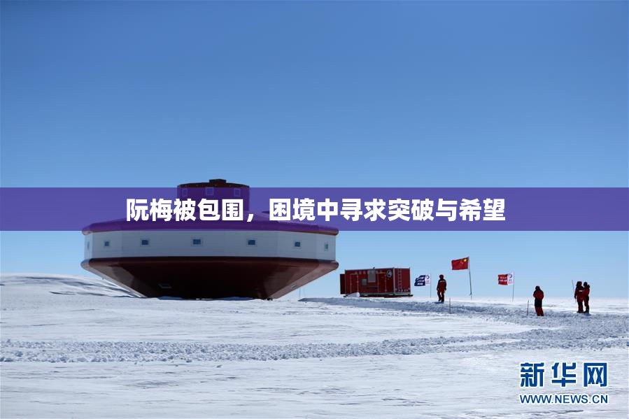 阮梅被包围，困境中寻求突破与希望