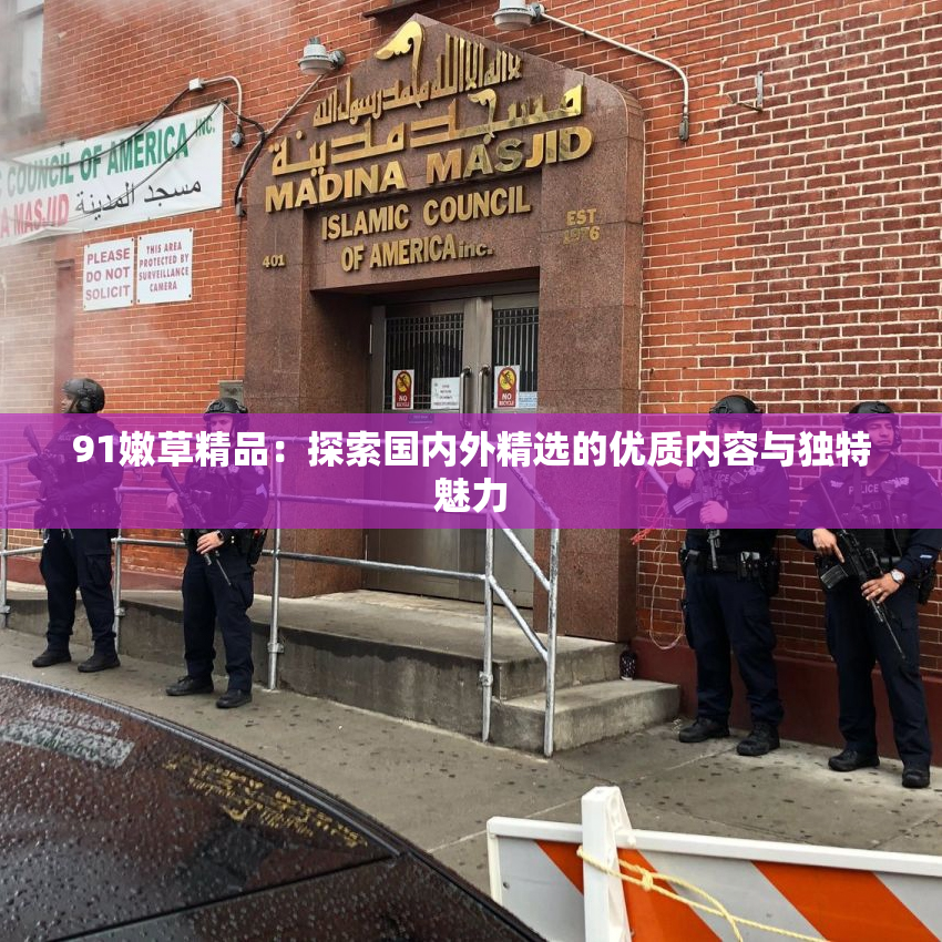 91嫩草精品：探索国内外精选的优质内容与独特魅力