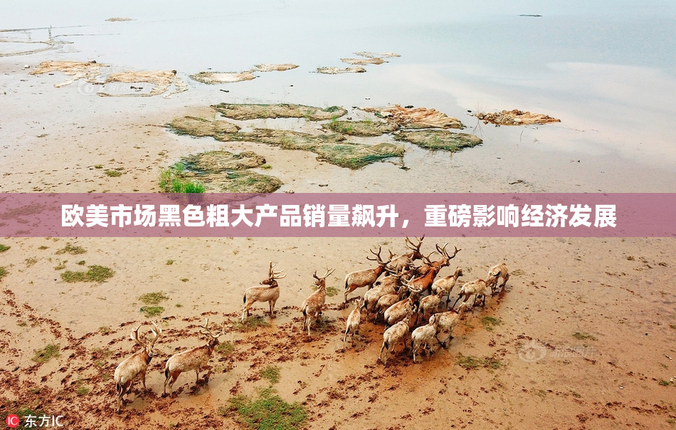 欧美市场黑色粗大产品销量飙升，重磅影响经济发展