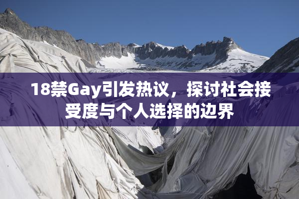 18禁Gay引发热议，探讨社会接受度与个人选择的边界