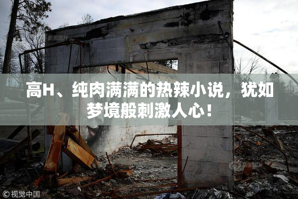 高H、纯肉满满的热辣小说，犹如梦境般刺激人心！