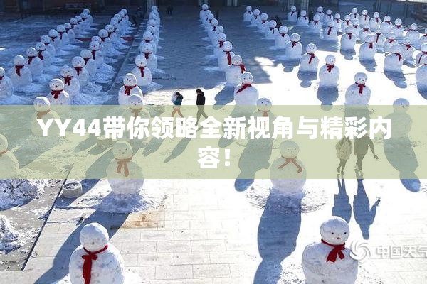 YY44带你领略全新视角与精彩内容！
