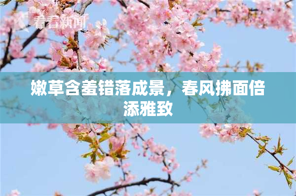 嫩草含羞错落成景，春风拂面倍添雅致