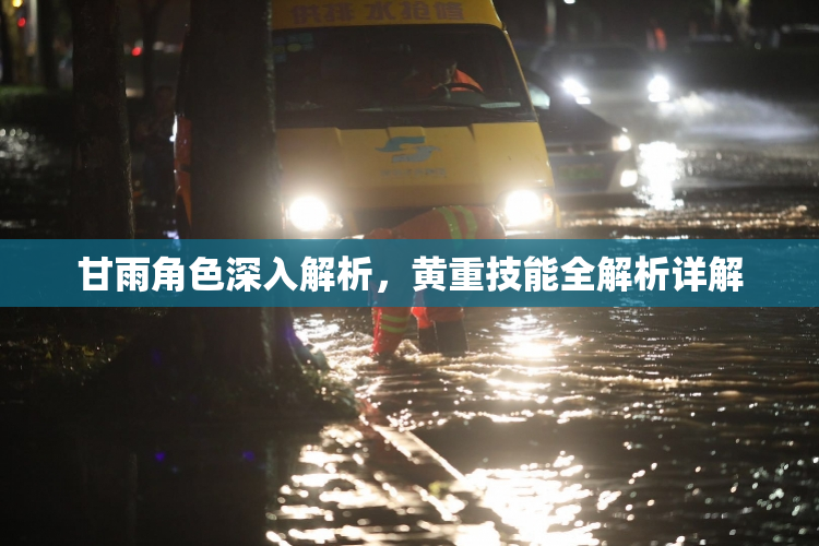 甘雨角色深入解析，黄重技能全解析详解