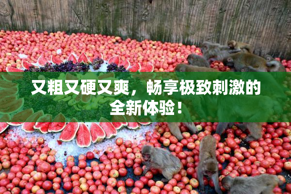 又粗又硬又爽，畅享极致刺激的全新体验！