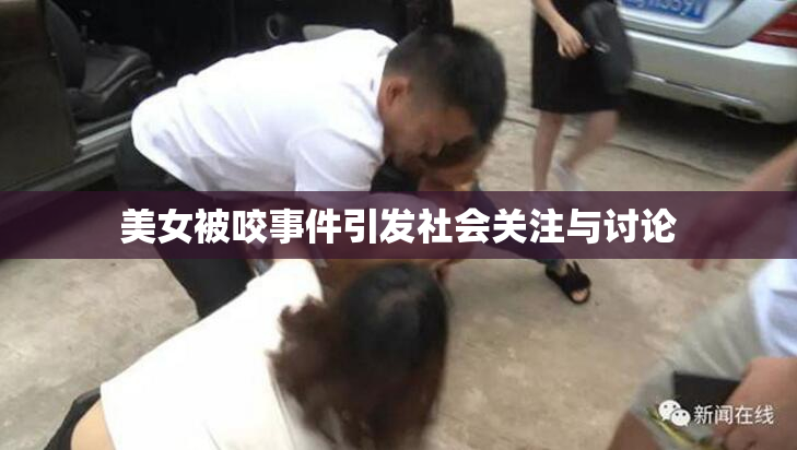 美女被咬事件引发社会关注与讨论