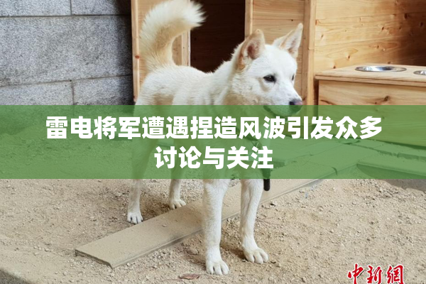 雷电将军遭遇捏造风波引发众多讨论与关注