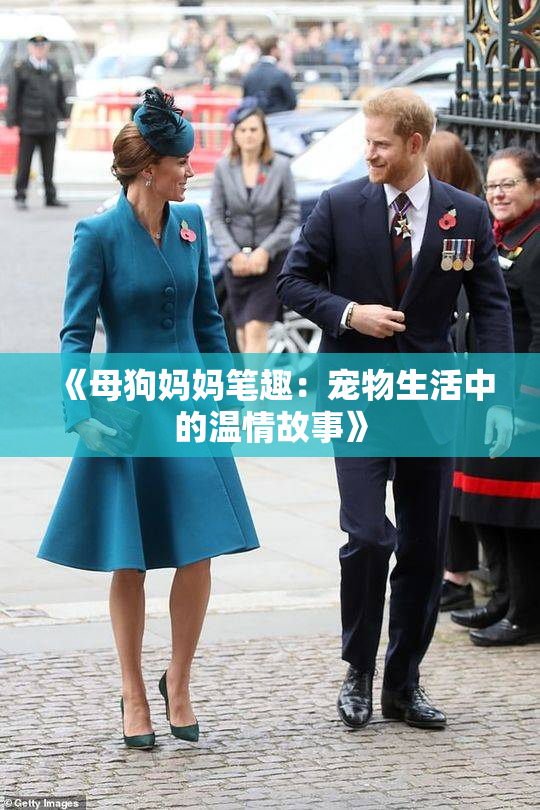 《母狗妈妈笔趣：宠物生活中的温情故事》