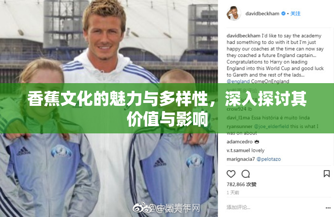香蕉文化的魅力与多样性，深入探讨其价值与影响