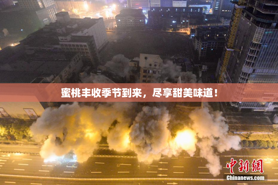 蜜桃丰收季节到来，尽享甜美味道！