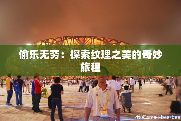 偷乐无穷：探索纹理之美的奇妙旅程