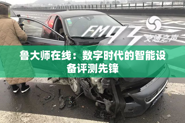 鲁大师在线：数字时代的智能设备评测先锋