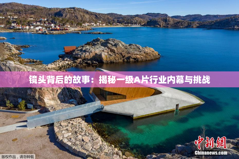 镜头背后的故事：揭秘一级A片行业内幕与挑战