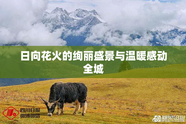 日向花火的绚丽盛景与温暖感动全城