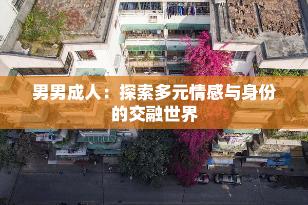 男男成人：探索多元情感与身份的交融世界