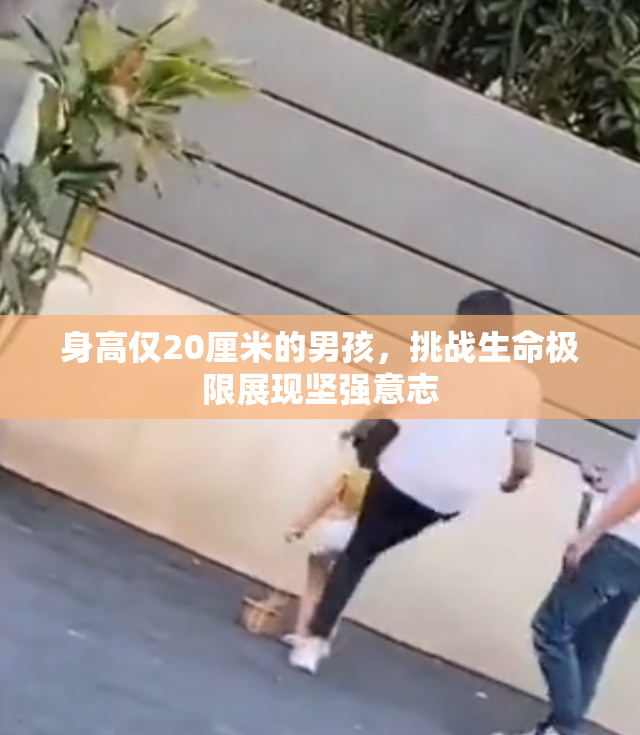 身高仅20厘米的男孩，挑战生命极限展现坚强意志