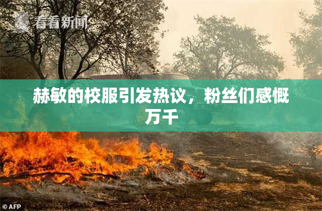 赫敏的校服引发热议，粉丝们感慨万千