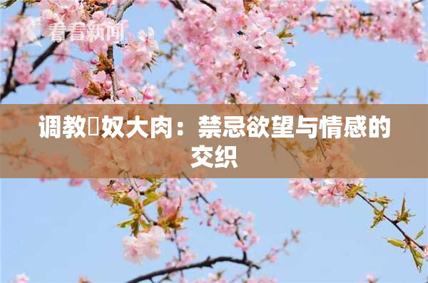 调教婬奴大肉：禁忌欲望与情感的交织