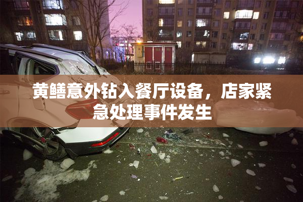 黄鳝意外钻入餐厅设备，店家紧急处理事件发生