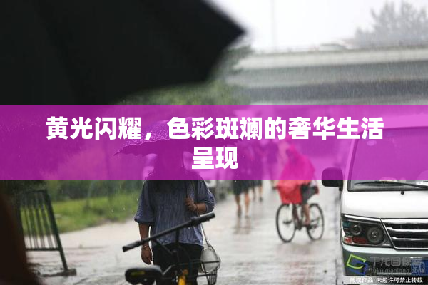 黄光闪耀，色彩斑斓的奢华生活呈现