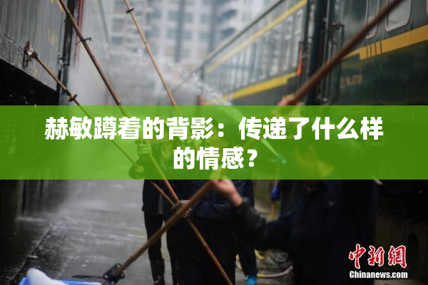 赫敏蹲着的背影：传递了什么样的情感？