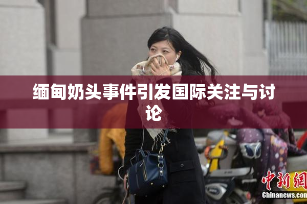缅甸奶头事件引发国际关注与讨论