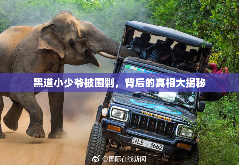 黑道小少爷被围剿，背后的真相大揭秘