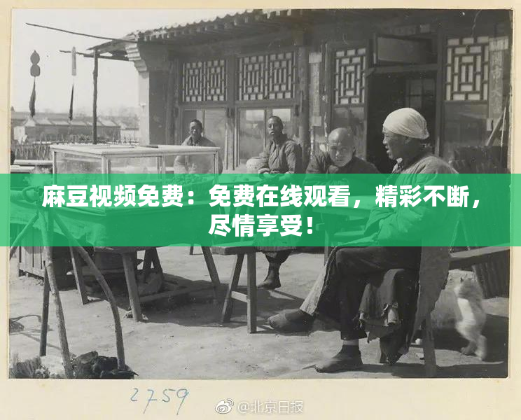 麻豆视频免费：免费在线观看，精彩不断，尽情享受！