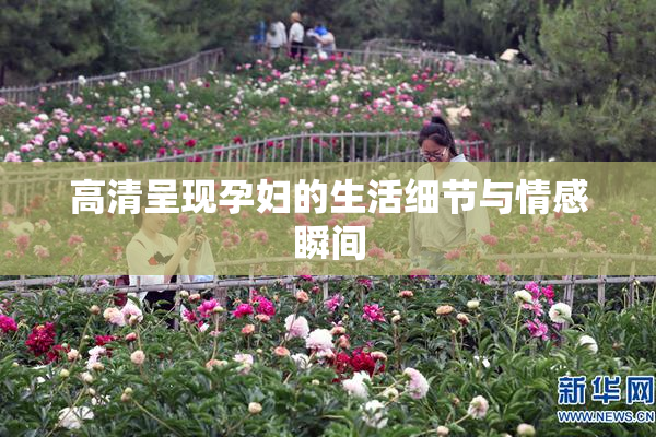 高清呈现孕妇的生活细节与情感瞬间