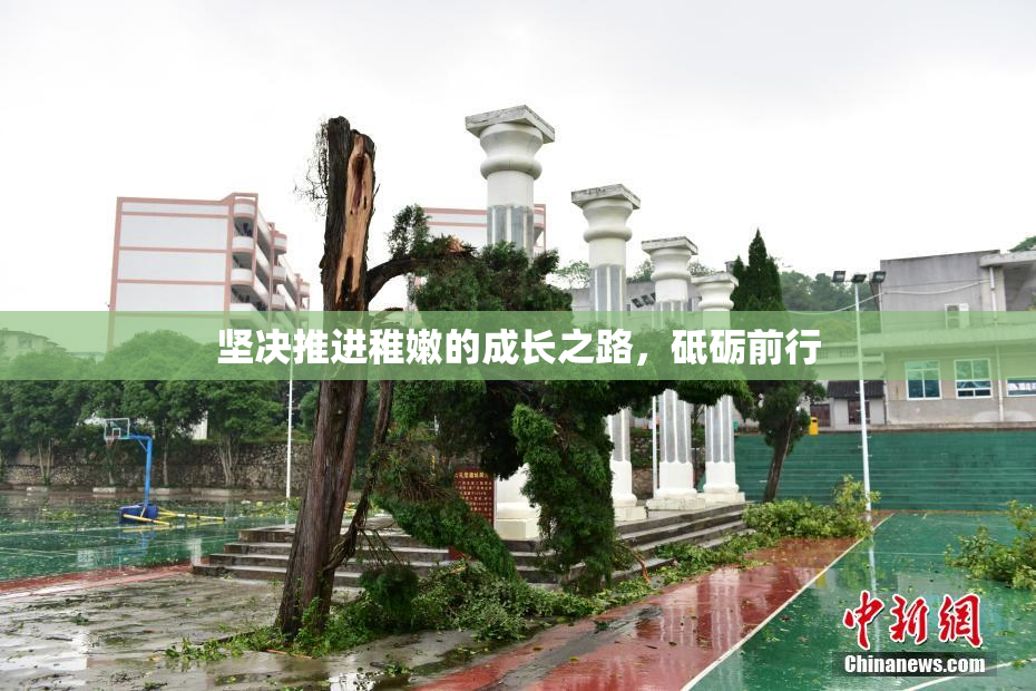 坚决推进稚嫩的成长之路，砥砺前行