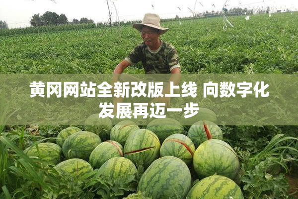 黄冈网站全新改版上线 向数字化发展再迈一步