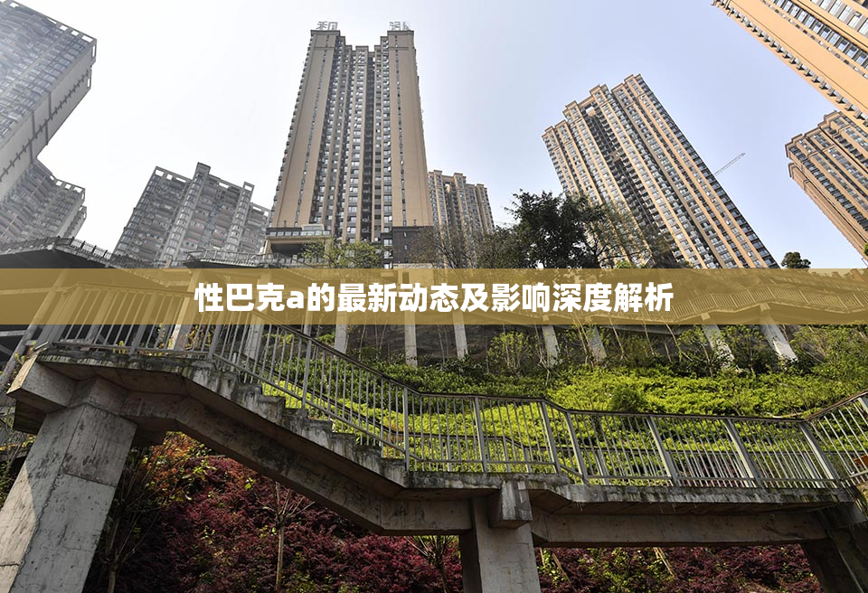 性巴克a的最新动态及影响深度解析