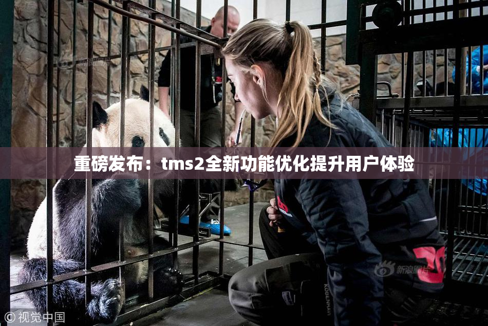 重磅发布：tms2全新功能优化提升用户体验