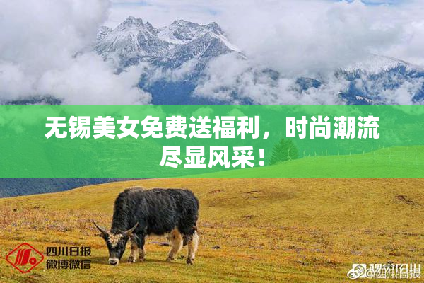 无锡美女免费送福利，时尚潮流尽显风采！