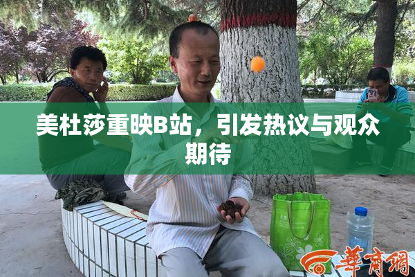美杜莎重映B站，引发热议与观众期待