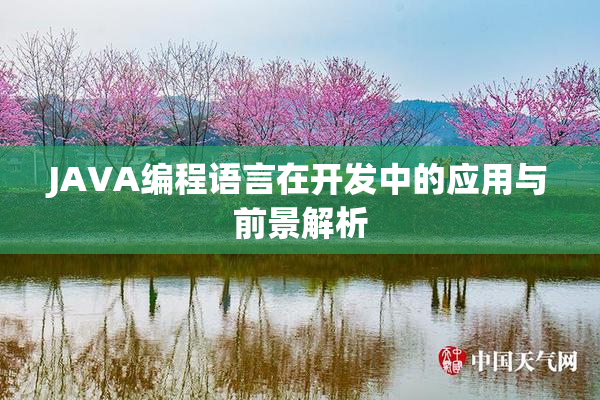JAVA编程语言在开发中的应用与前景解析