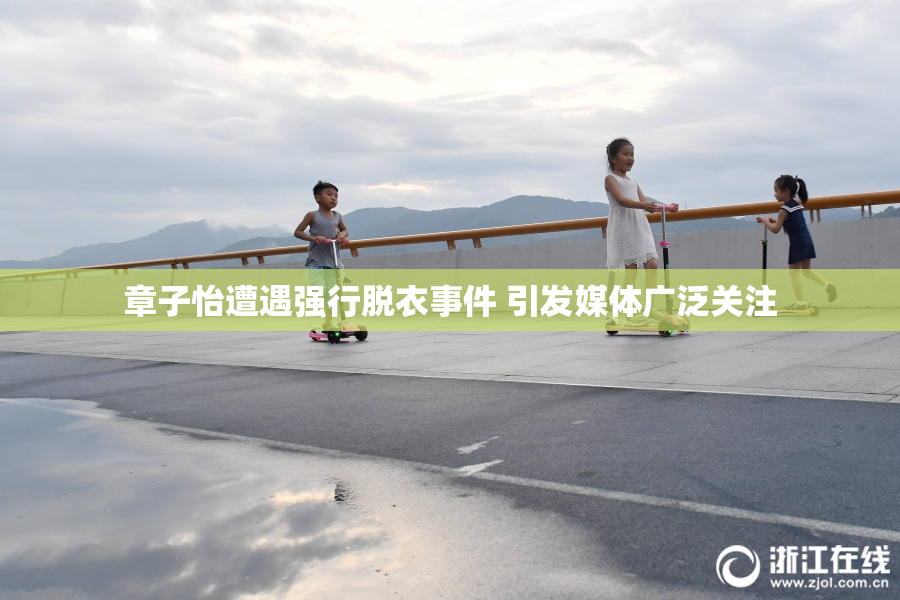 章子怡遭遇强行脱衣事件 引发媒体广泛关注