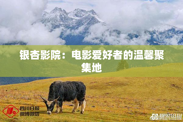 银杏影院：电影爱好者的温馨聚集地