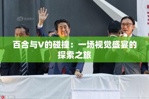 百合与V的碰撞：一场视觉盛宴的探索之旅