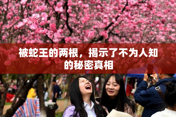 被蛇王的两根，揭示了不为人知的秘密真相