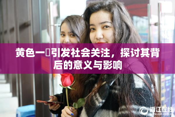 黄色一級引发社会关注，探讨其背后的意义与影响