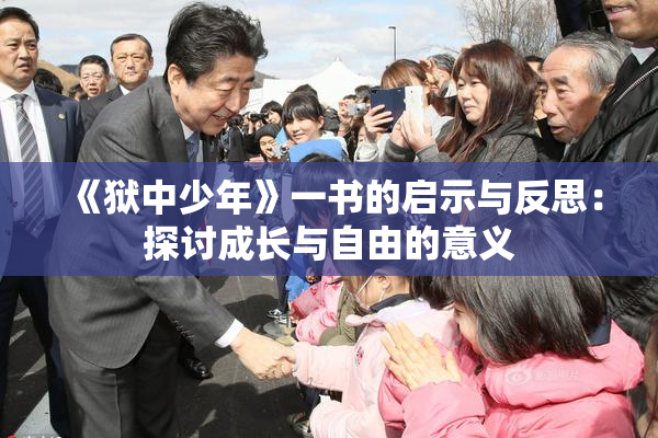 《狱中少年》一书的启示与反思：探讨成长与自由的意义