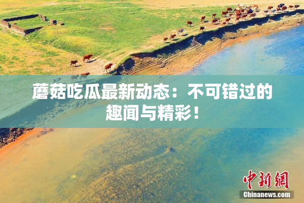 蘑菇吃瓜最新动态：不可错过的趣闻与精彩！