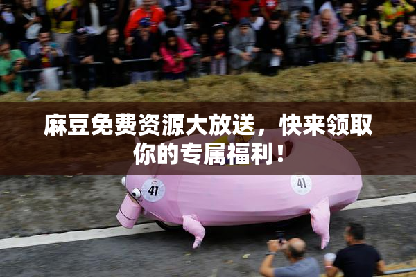 麻豆免费资源大放送，快来领取你的专属福利！