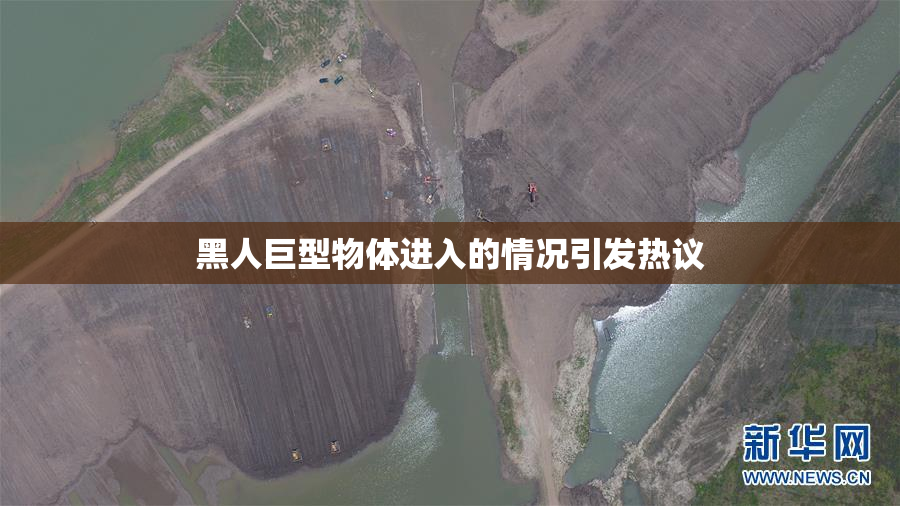 黑人巨型物体进入的情况引发热议