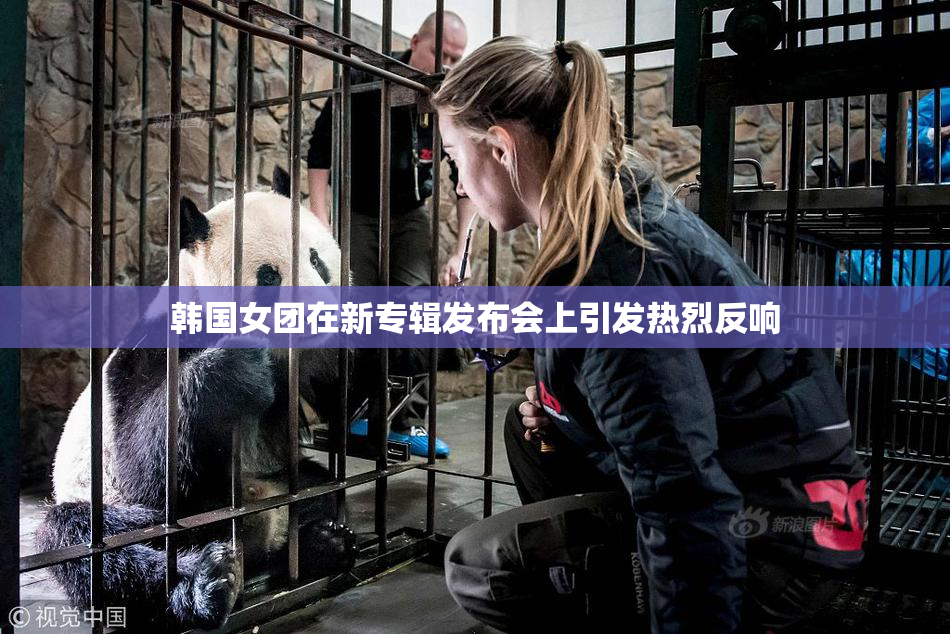韩国女团在新专辑发布会上引发热烈反响