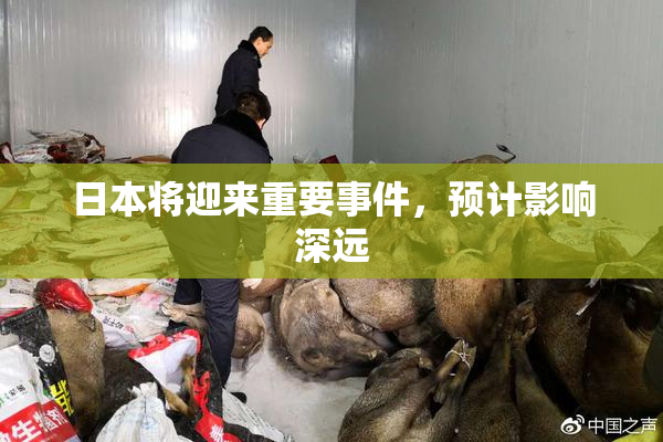 日本将迎来重要事件，预计影响深远